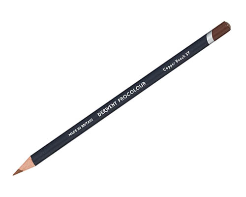 Derwent Procolour Coloured Pencils  Copper Beech