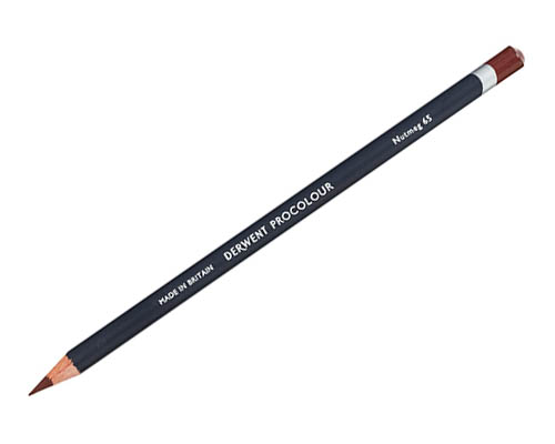 Derwent Procolour Coloured Pencils  Nutmeg
