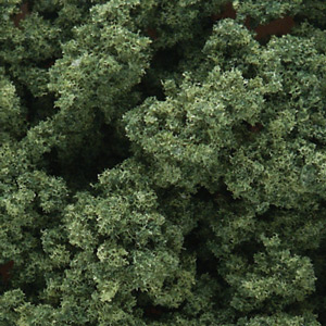 Clump Foliage Underbrsh Medium Green