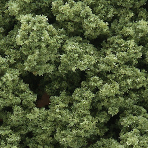 Clump Foliage Bushes Light Green