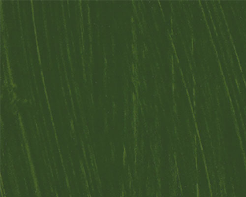 Cranfield Spectrum Studio Oil Paint - Sap Green - 225mL
