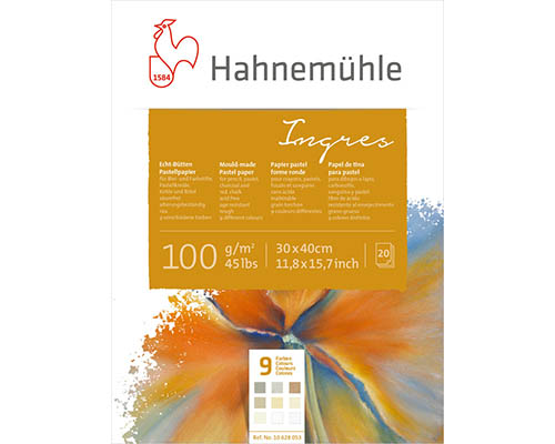 Hahnemühle Ingres Pad – 12 x 16 in. – 20 Assorted Colour Sheets