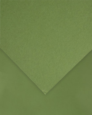 Colorline 8.5x11 Khaki Green 89