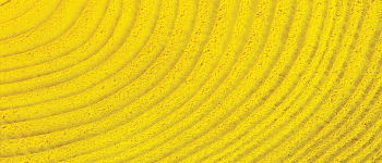 Jaquard Basic Dye - Yellow 0.5 oz