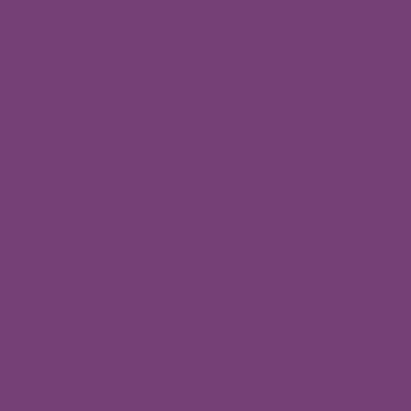 Caran D'Ache Neocolor II - 099 Aubergine