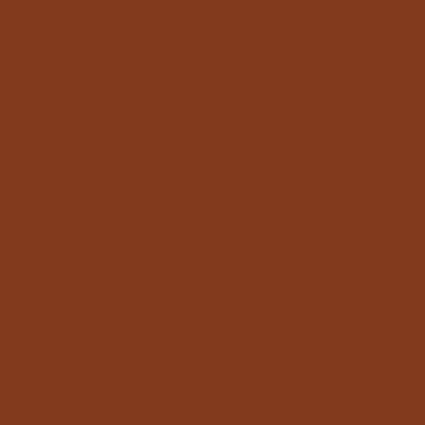 Caran D'Ache Neocolor II - 028 Toledo Brown