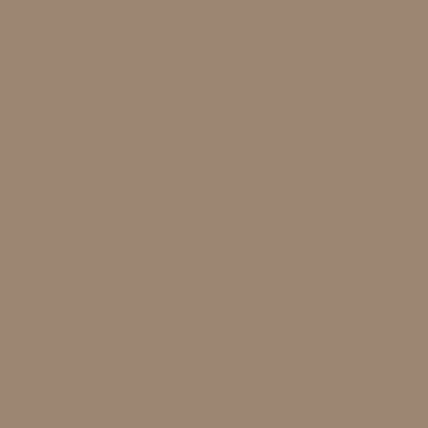 Caran D'Ache Neocolor II - 045 Van dyke Brown