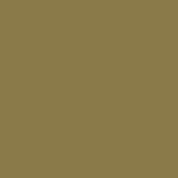 Caran DAche Neocolor II - 039 Olive Brown