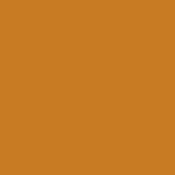 Caran D'Ache Neocolor II - 036 Raw Sienna