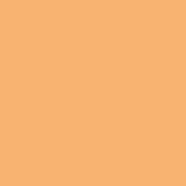 Caran D'Ache Neocolor II - 041 Apricot