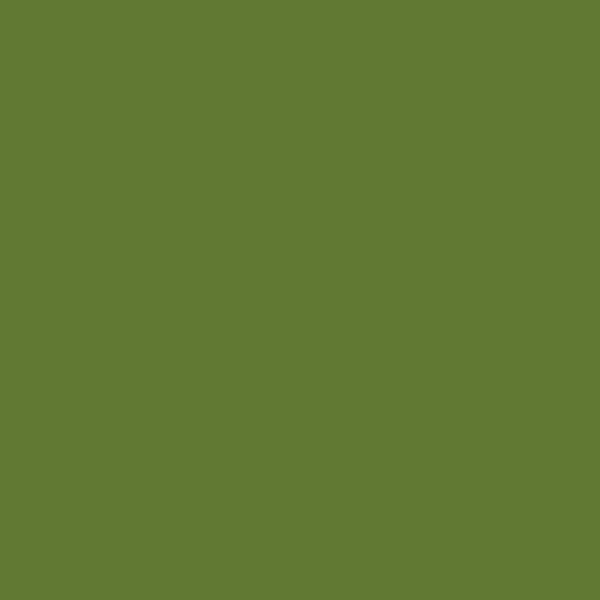 Caran DAche Neocolor II - 212 Chromium Oxide Green