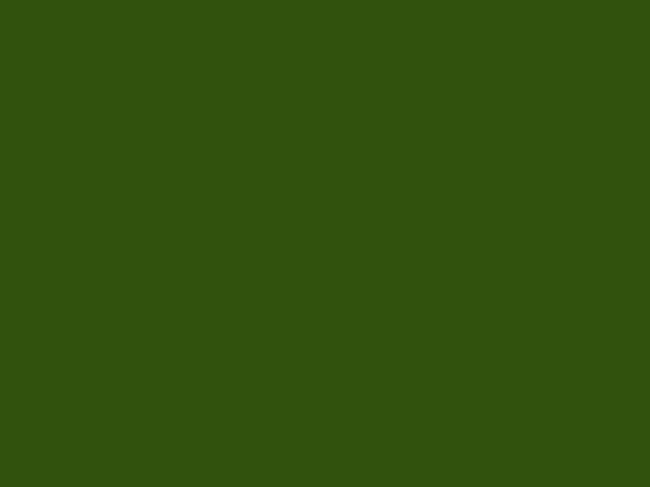 Turner Acryl Gouache - 40mL - Hookers Green