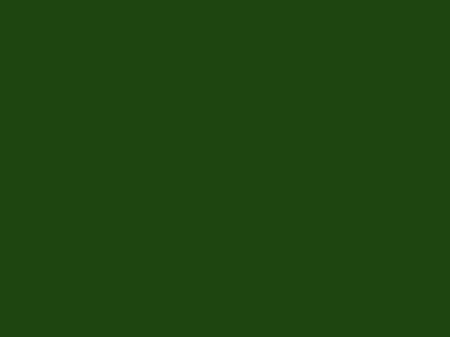 Turner Acryl Gouache - 40mL - Sap Green