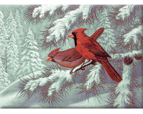 Royal & Langnickel Paint By Number Adult - Cardinals - Large
