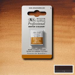 Winsor & Newton Professional Watercolour Burnt Umber Half Pan