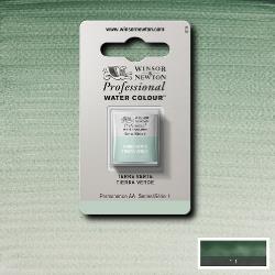 W&N Artists WC Half Pan Terre Verte