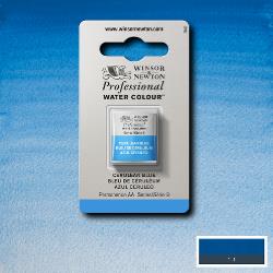 Winsor & Newton Professional Watercolor Half Pans