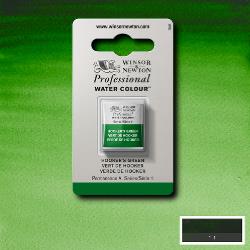 Winsor & Newton Professional Watercolour Hooker's Green Half Pan