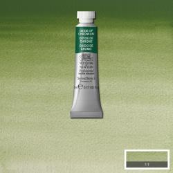 Winsor & Newton Professional Watercolour Oxide Of Chromium 5ml