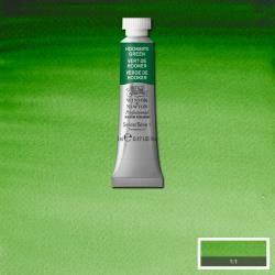 Winsor & Newton Professional Watercolour Hooker's Green 5ml