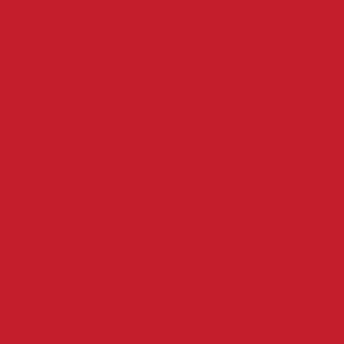 Cranfield Spectrum Studio Oil Paint - Light Red - 225mL