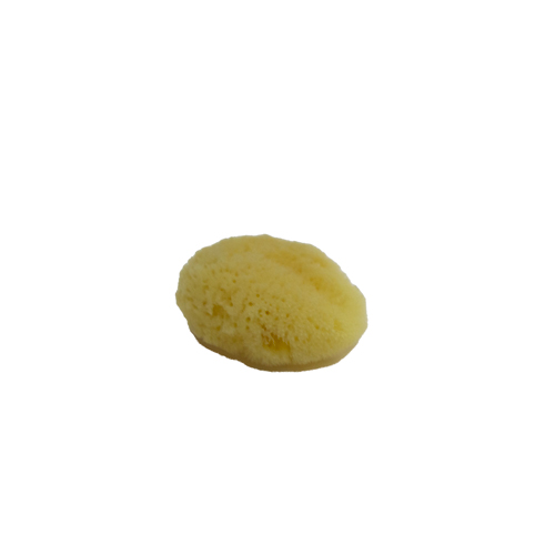 Natural Sea Sponge - Fine 1.5" - 2"