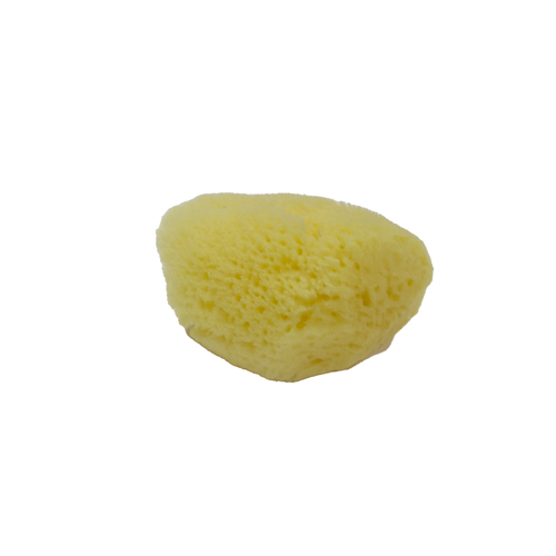 Natural Sea Sponge - Fine 2.5" - 3"