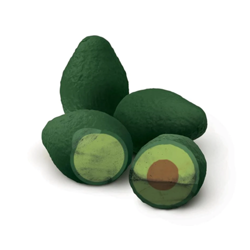 Fred Avocado Erasers - Set of 4