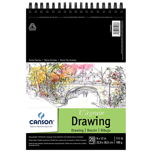 Canson Artist Series Drawing Paper, Wirebound Pad, 18x24 inches, 24 Sheets  (80lb