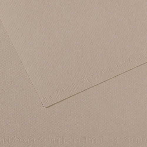 Canson Mi-Teintes - 122 Flannel Grey - 8.5" X 11"