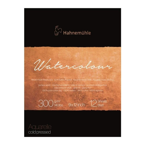 Hahnemühle Collection Watercolour 140 CP 9x12 12 sheet pad