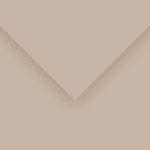 Canson Colorline Art Papers - Charcoal Pearl - 19" x 25" 