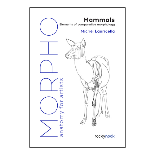 Morpho: Mammals: Elements of Comparative Morphology