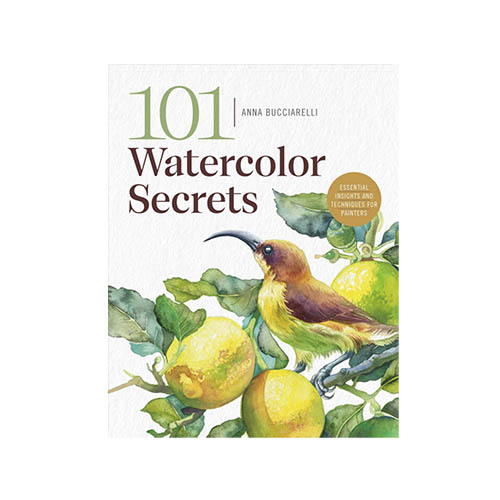 Rocky Nook: 101 Watercolour Secrets