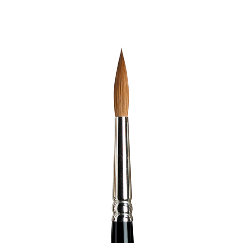 Winsor & Newton Series 7 - SH Brush - Round #6