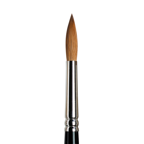 Winsor & Newton Series 7 - SH Brush - Round #8