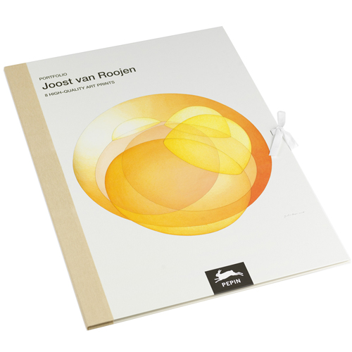 Pepin Art Portfolio - Joost van Roojen