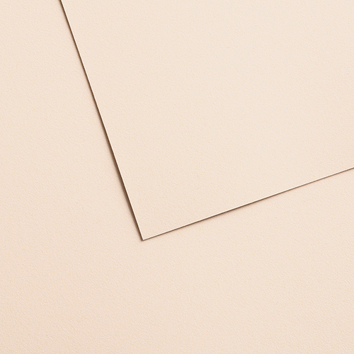 Canson Mi-Teintes&reg; Velvet Paper � 20� x 26� � Beige