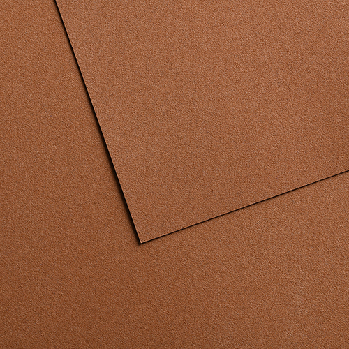 Canson Mi-Teintes&reg; Velvet Paper � 20� x 26� � Brown