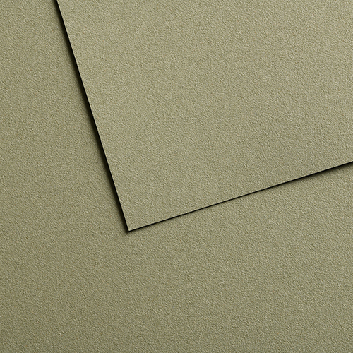 Canson Mi-Teintes&reg; Velvet Paper � 20� x 26� � Pistachio Green