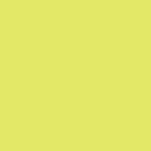 Jacquard iDye Poly 14g - Neon Yellow