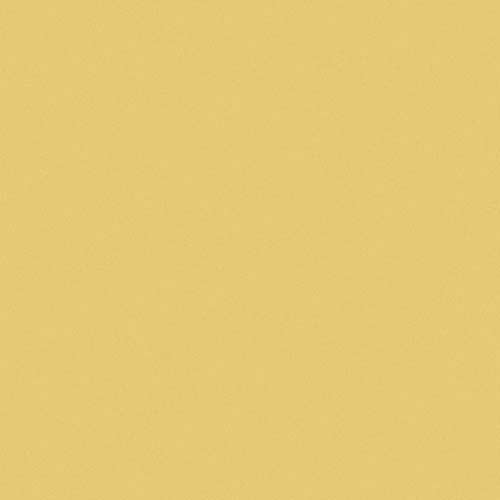 Berkeley Matboard - Chamois - 32� x 40�