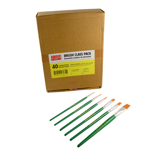 Above Ground Brush Class Pack of 40 Assorted Gold Toray Brushes