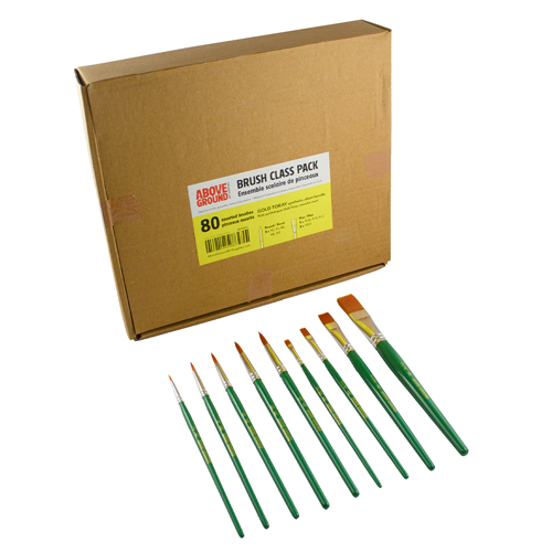 Above Ground Brush Class Pack of 80 Assorted Gold Toray Brushes