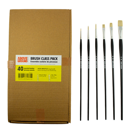 Above Ground Brush Class Pack of 40 Assorted Hog Bristle Brushes