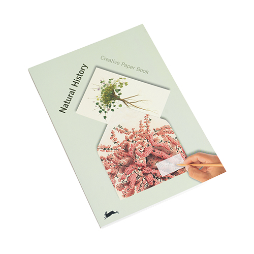Pepin Creative Paper Craft Book � Natural History