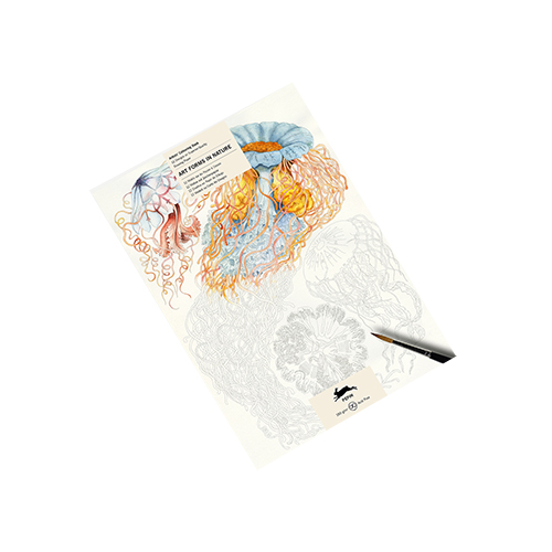 Pepin Artists� Colouring Book � Art Forms in Nature