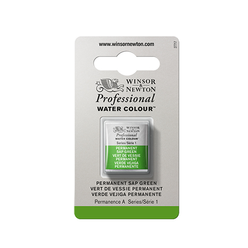 Winsor & Newton Professional Watercolour � Permanent Sap Green - Half Pan 