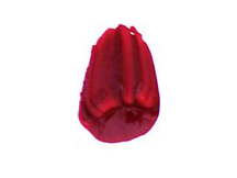 Tri-Art Acrylic Quinacridone Scarlet - 60mL