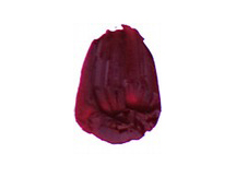 Tri-Art Acrylic Quinacridone Violet - 60mL
